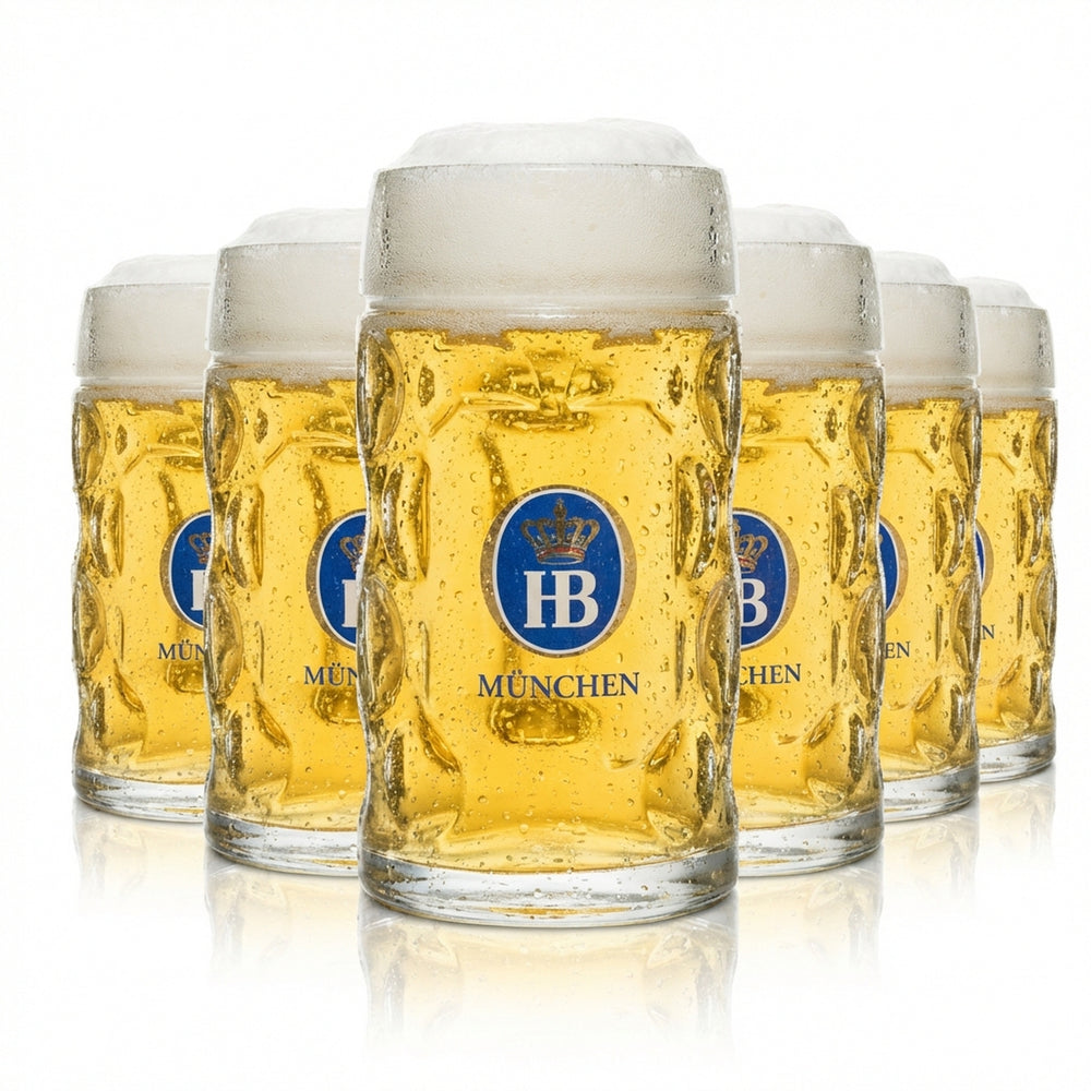 6 bicchieri da birra Hofbräu München 0,5 l Isar-Seidel