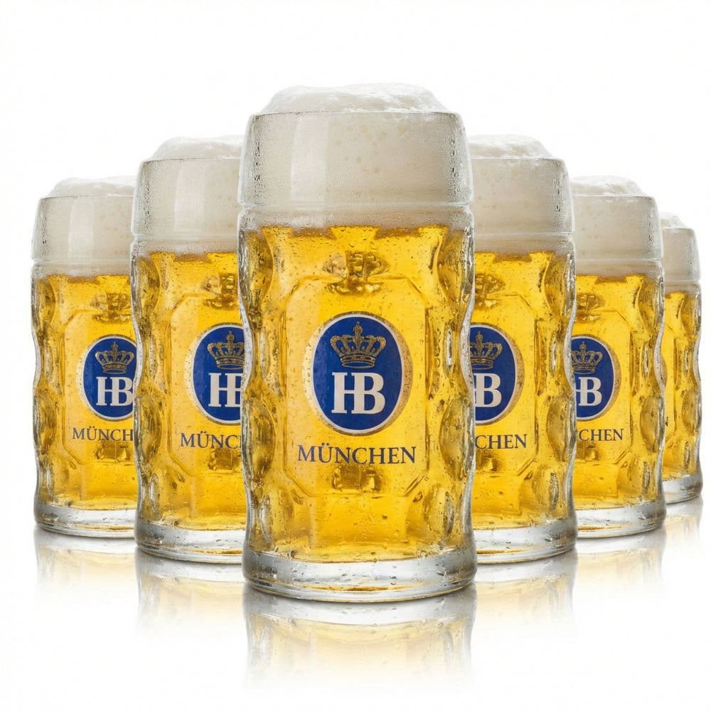 6 bicchieri da birra Hofbräuhaus München da 0,3 l, boccale HB, bicchiere sagomato, boccale Seidel, set di bicchieri, birrificio