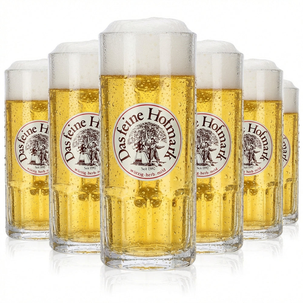 6 bicchieri Hofmark da 0,3 l Set di bicchieri da birra Hofmark Humpen Seidel Brauerei