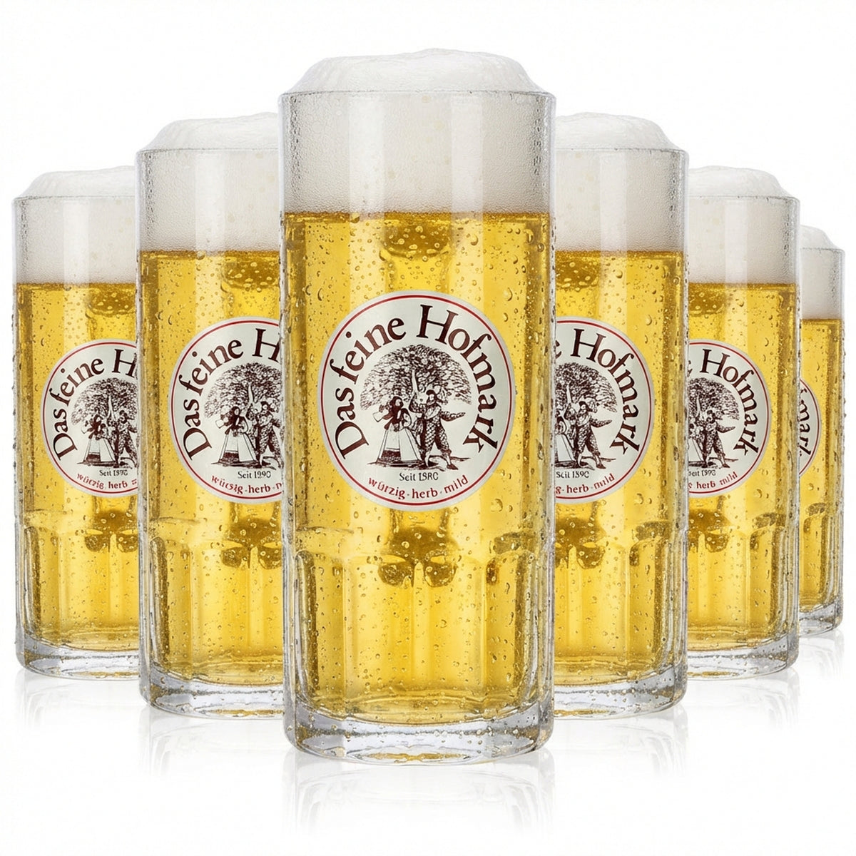 6 bicchieri Hofmark da 0,3 l Set di bicchieri da birra Hofmark Humpen Seidel Brauerei