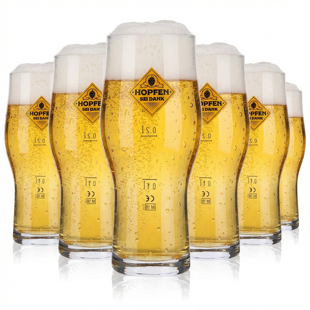 6x Grazie al luppolo Bicchiere da birra 0,3 l Bicchieri da birra Craft Master Two
