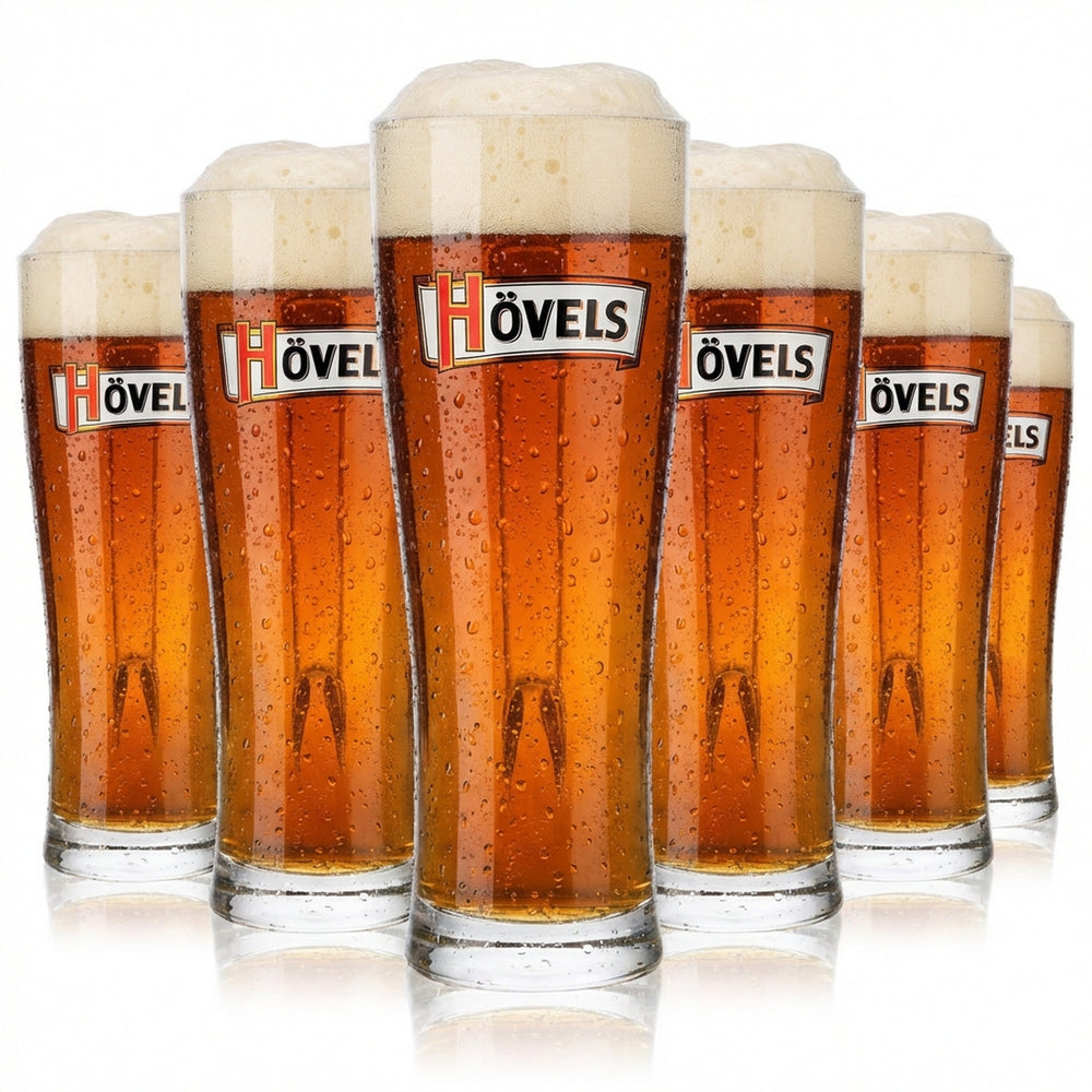 6 bicchieri da birra Hövels da 0,3 l Bicchieri da birra Boccale da birra Bicchiere da birra conico Aspen