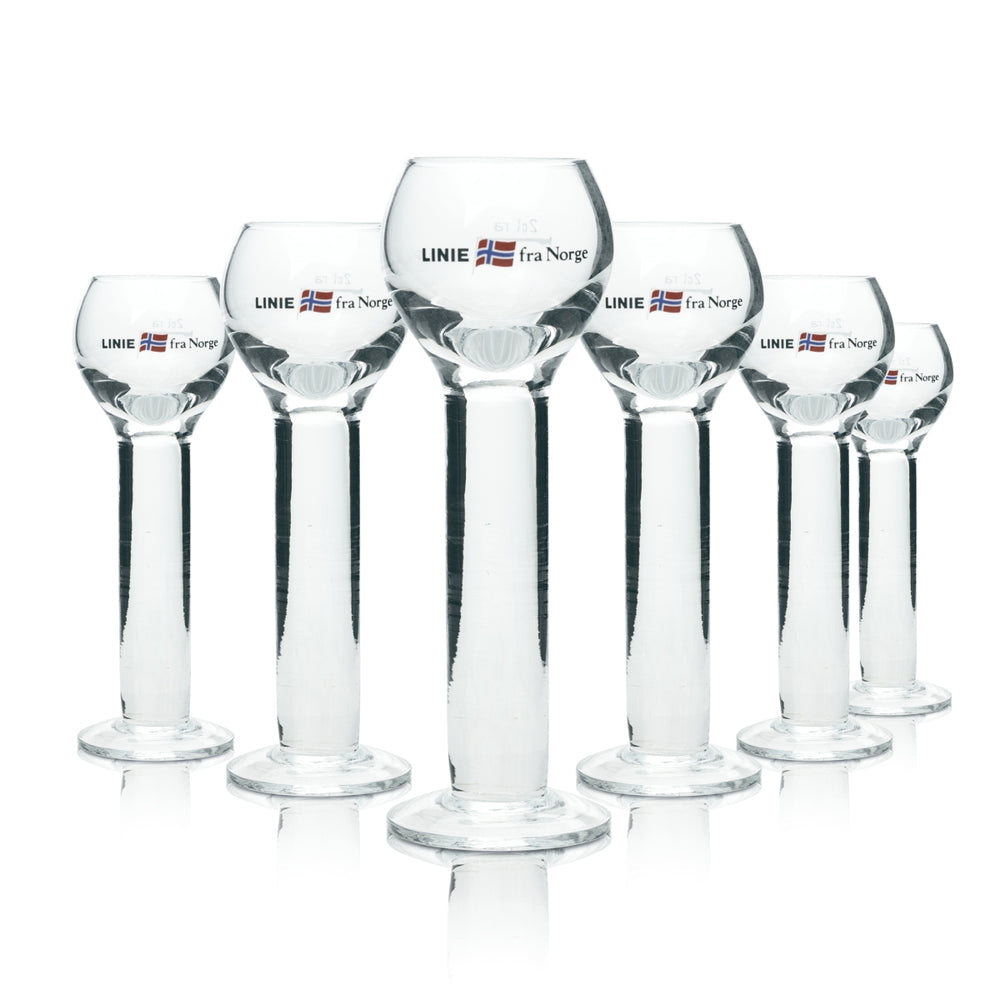 6 bicchieri da acquavite Linea Aquavit fra Norge 2 cl Rastal Bicchieri da grappa Bicchieri da shot Pokal