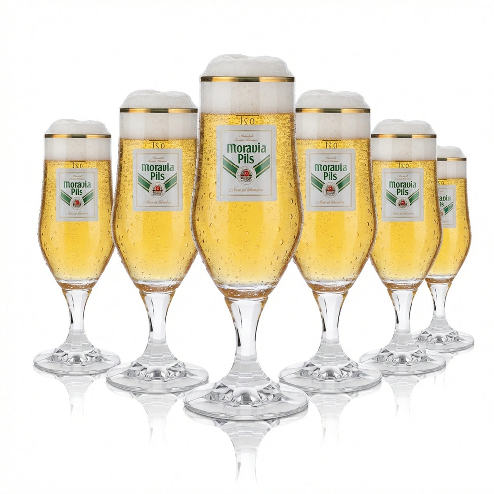 6 bicchieri da birra Moravia 0,2 l con bordo dorato e motivo a perle di luppolo, set di bicchieri Pils, birrificio