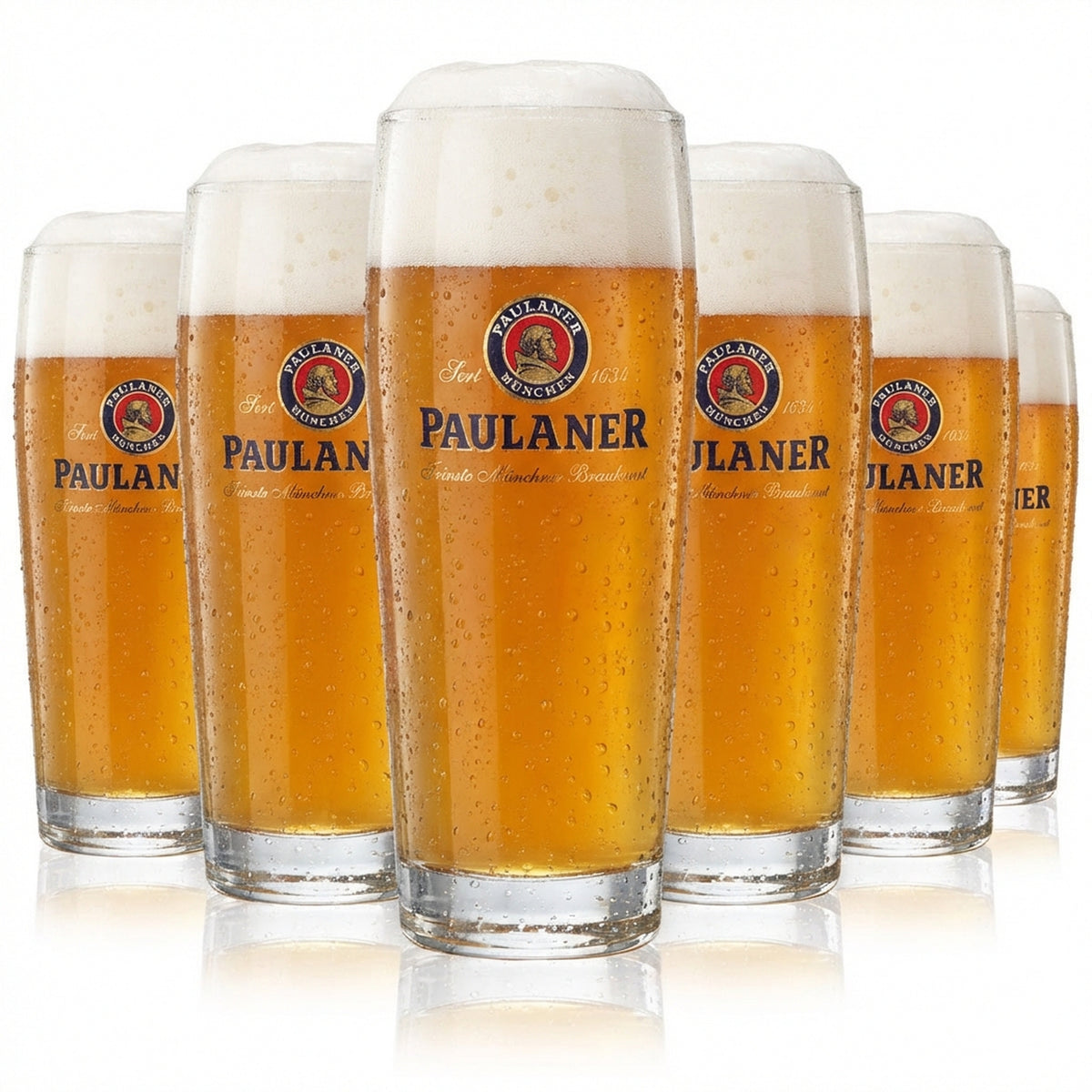 6 bicchieri da birra Paulaner 0,25 l Willi-Becher Sahm Gloria