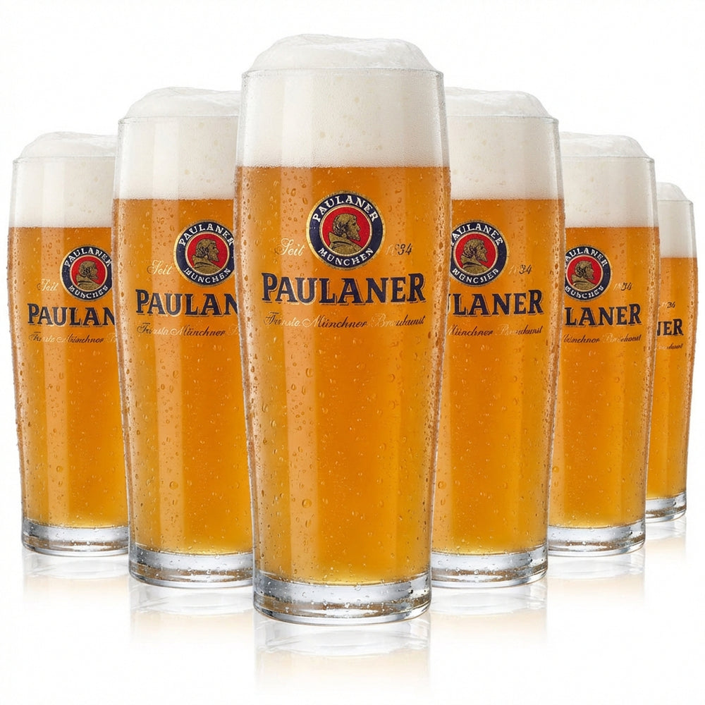 6 bicchieri Paulaner Willibecher 0,3 l Bicchieri da birra Bicchieri da birra Tazze Sahm Gloria
