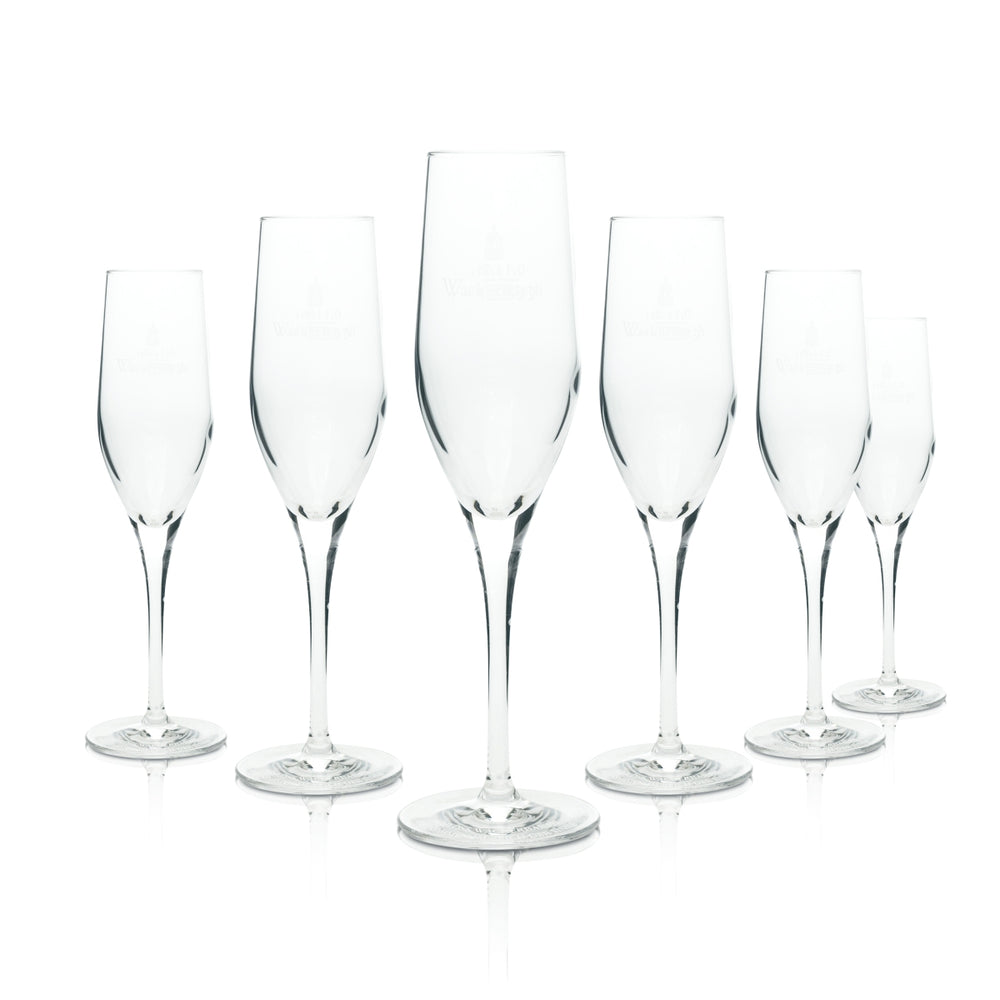 6 bicchieri da spumante Schloß Wackerbarth 175 ml flûte da champagne bicchieri esclusivi Prosecco