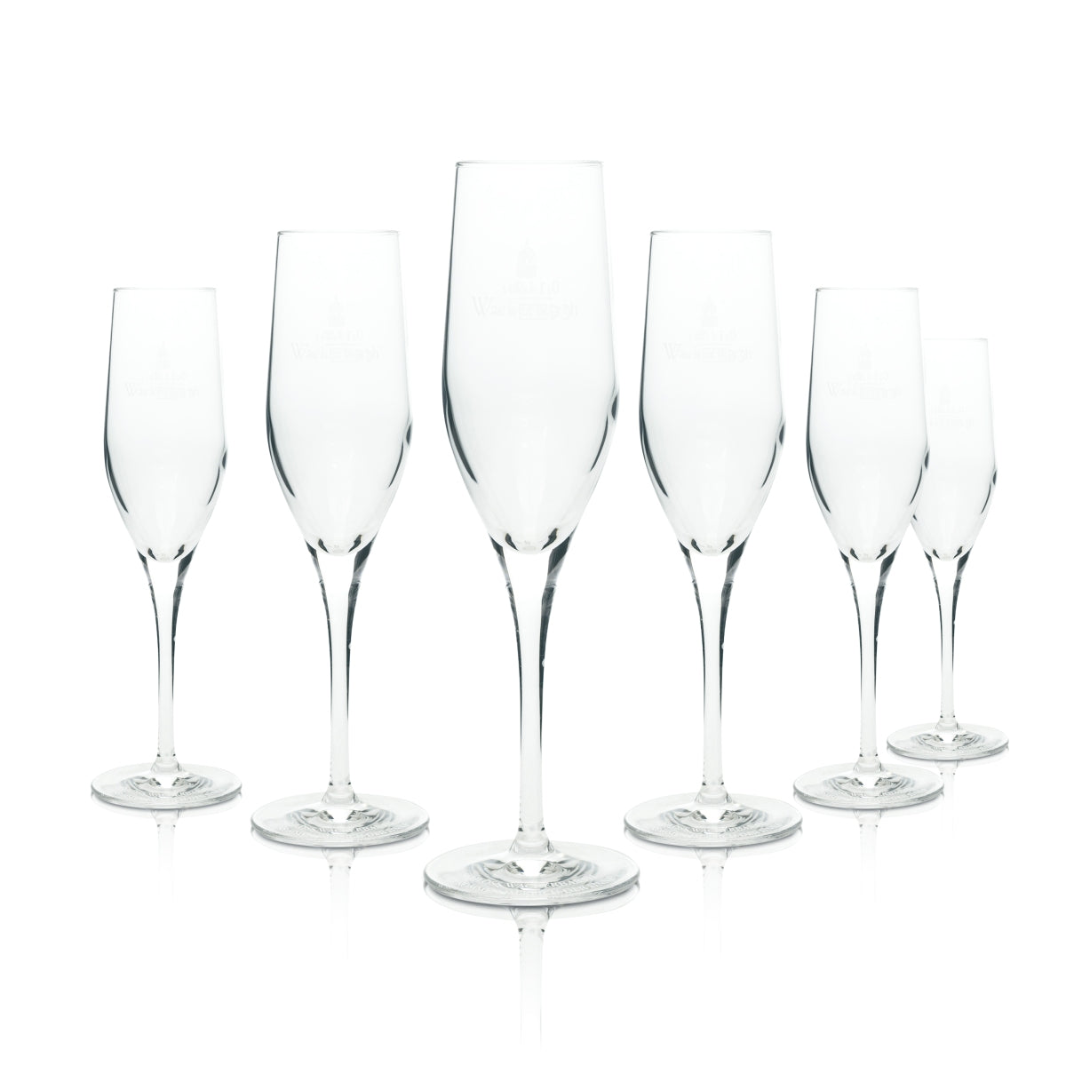 6 bicchieri da spumante Schloß Wackerbarth 175 ml flûte da champagne bicchieri esclusivi Prosecco