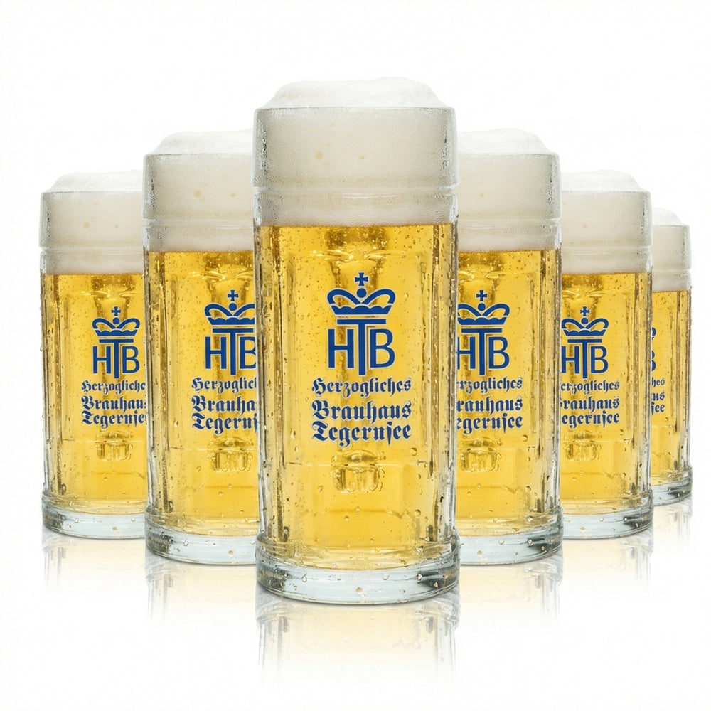 6 bicchieri da birra Tegernsee 0,3 l boccale HB Seidel bicchieri con manico boccali Humpen in rilievo
