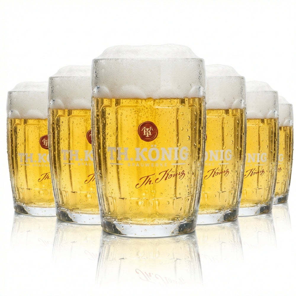 6 bicchieri da birra Theodor König 0,3 l boccale Humpen Seidel con rilievo Zwickl