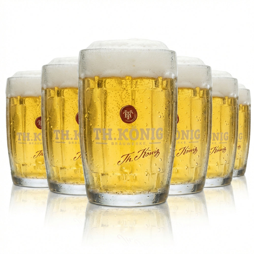 6 bicchieri da birra Theodor König 0,5 l boccale Humpen Seidel con rilievo Zwickl