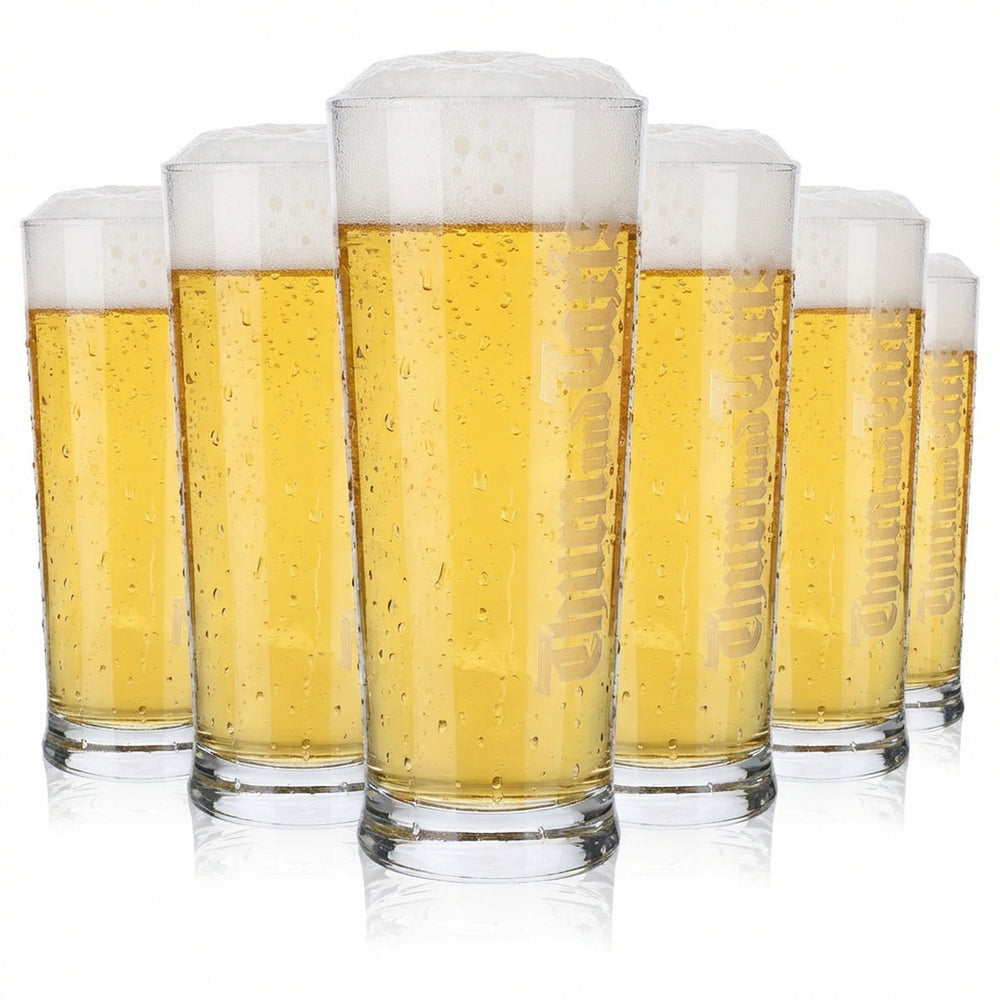 6 bicchieri da birra Thurn & Taxis da 0,5 l Bicchieri da birra Bicchieri da birra Logo verticale