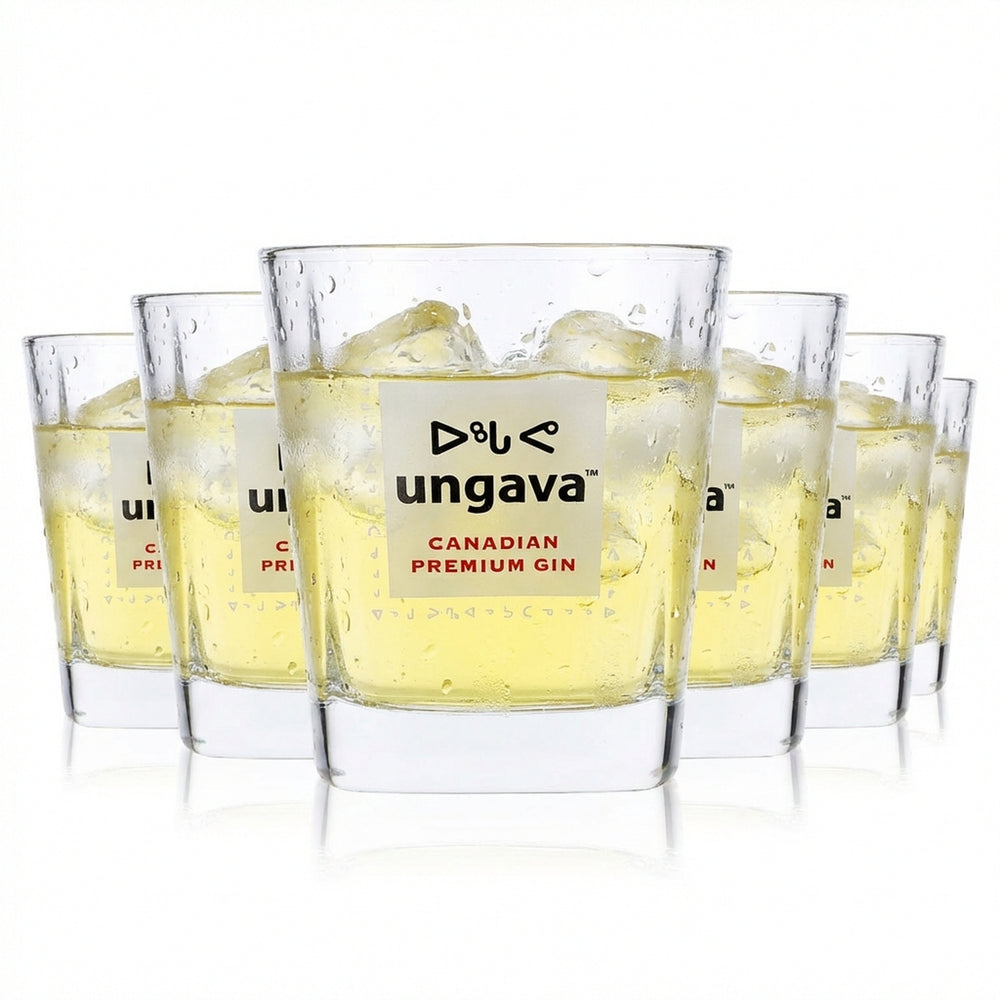 6 bicchieri da gin Ungava Bicchieri da gin Bicchieri da gin tonic 0,3 l Tumbler
