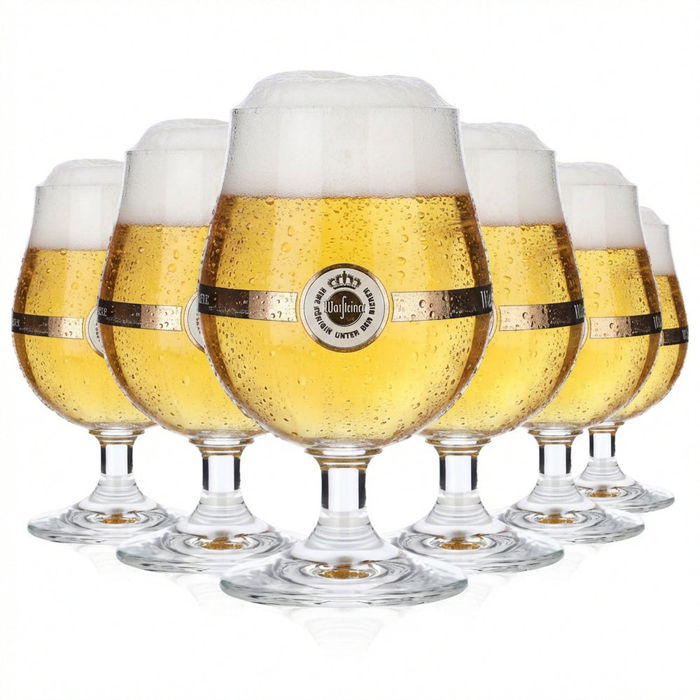 6 bicchieri da birra Warsteiner da 0,25 l Bicchieri da birra Pokal Ritzenhof Bistrol Schwenker geb.