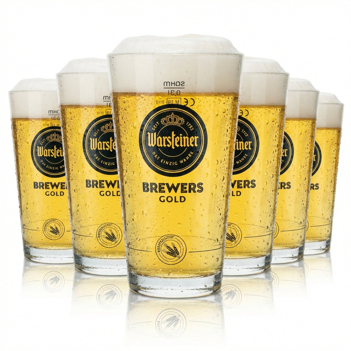 6 bicchieri da birra Warsteiner 0,3 l Brewers Gold Sahm Nuovi bicchieri Tumbler Pils Export