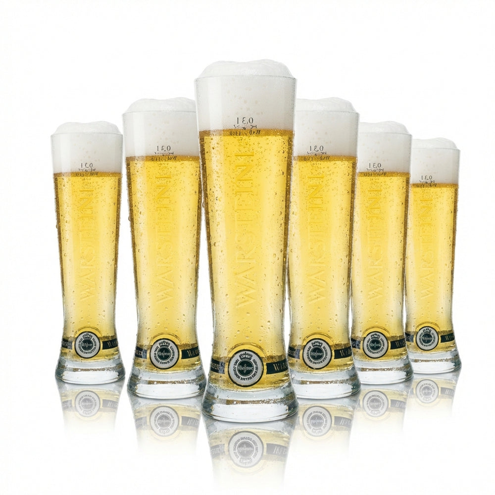 6 bicchieri da birra Warsteiner 0,3 l Premium Cup Rastal Nuovi bicchieri Tulipano Pils chiara