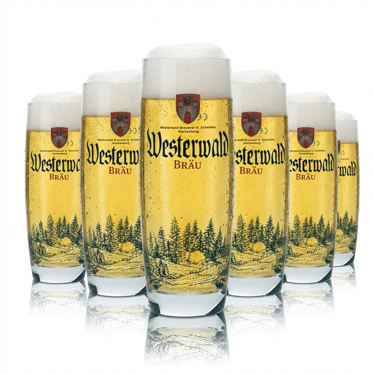 6 bicchieri da birra Westerwald Bräu da 0,3 l, bicchieri a forma di boccale, bicchieri da birra, birrificio, gastronomia, bar