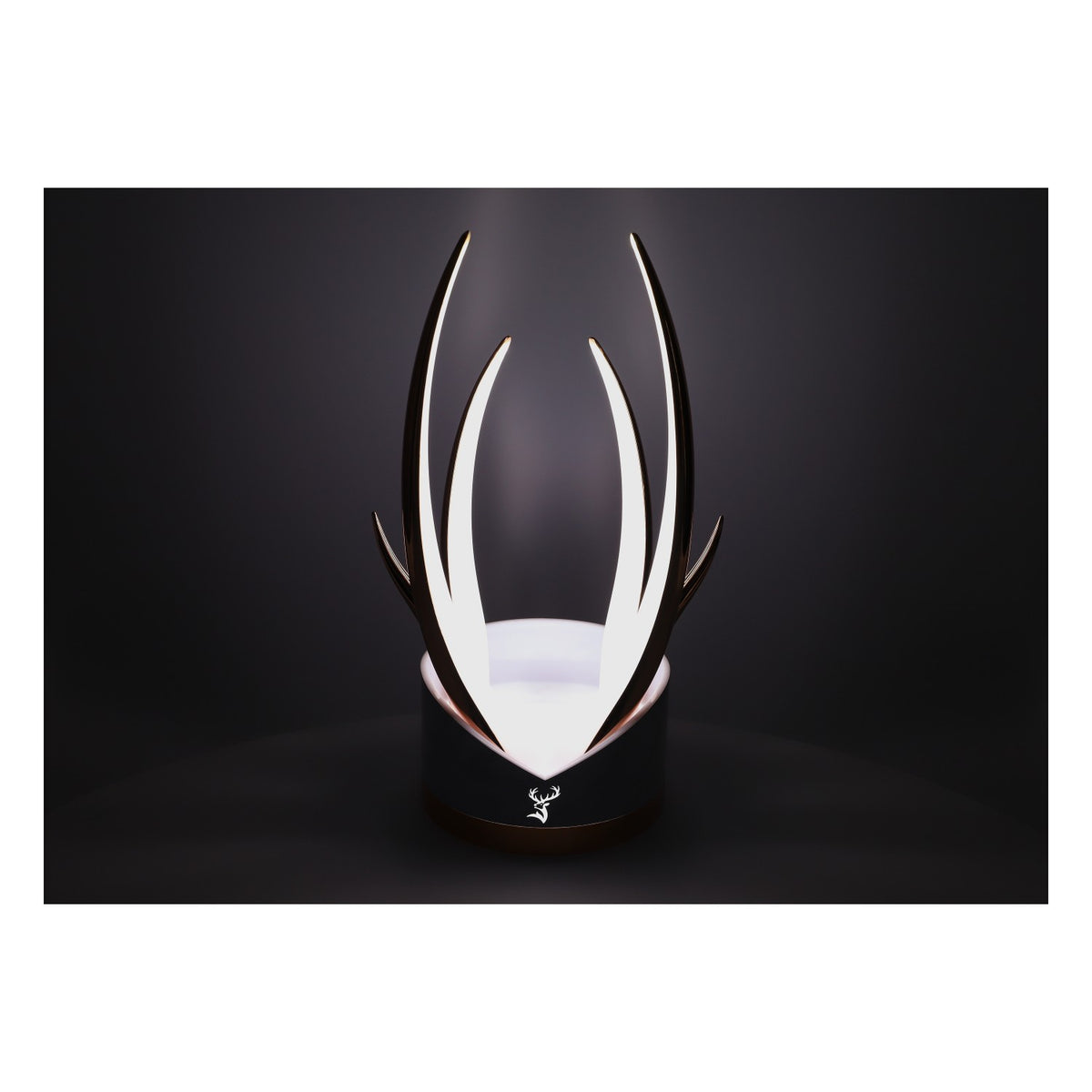Glenfiddich Whisky LED Glorifier Insegna luminosa "Royal Glorifier" per bottiglia da 0,7 l – Vista 7