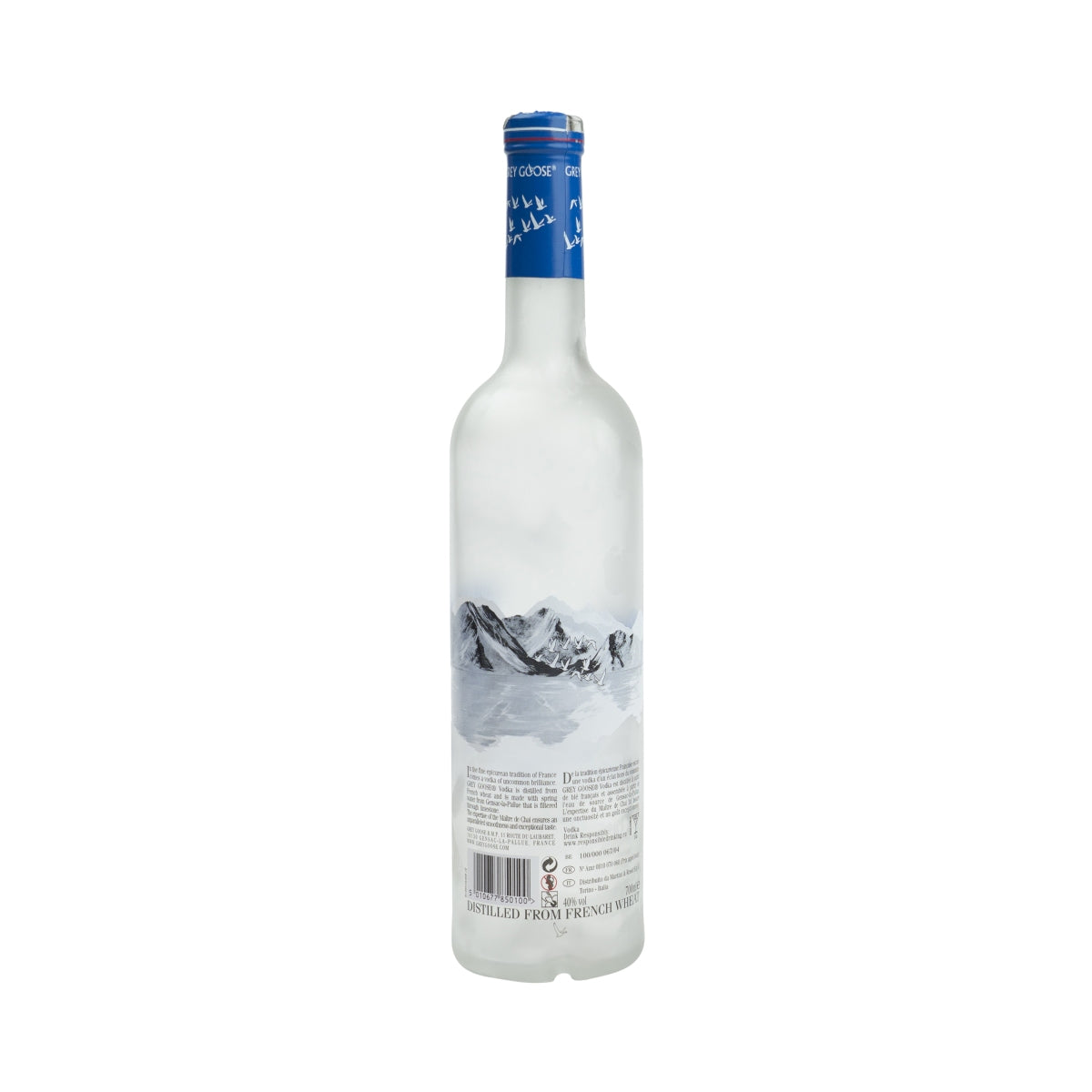 Grey Goose Vodka 0,7 l bottiglia vuota lampada decorativa salvadanaio Empty Bottle Bar Dummy – Vista 2