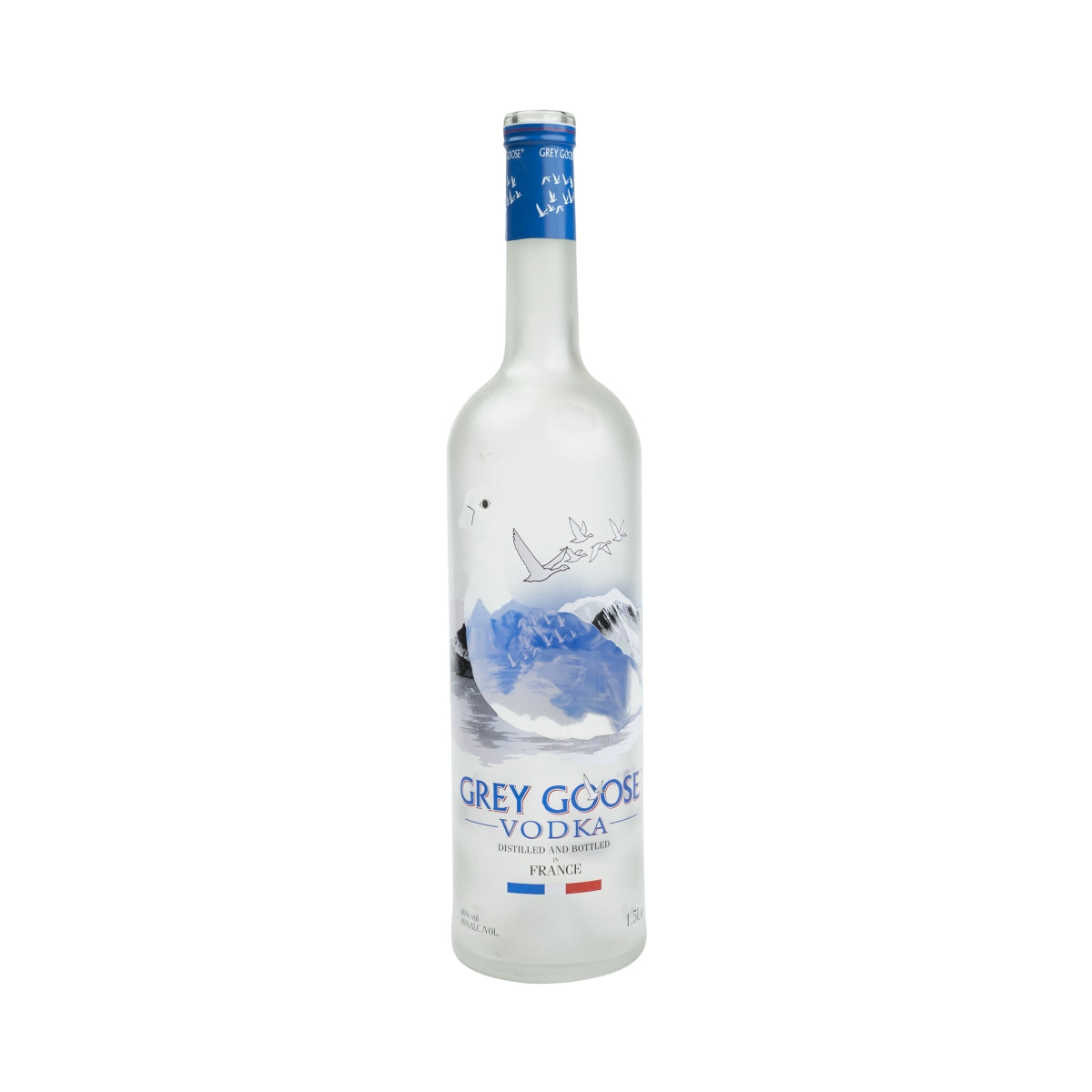 Grey Goose Vodka 1,5 l bottiglia vuota decorativa salvadanaio lampada fai da te EMPTY Bottle